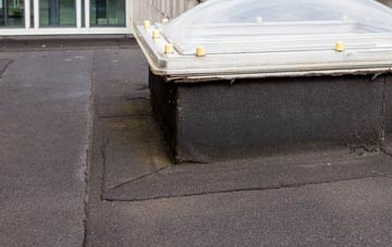 disadvantages of South Carne flat roofs